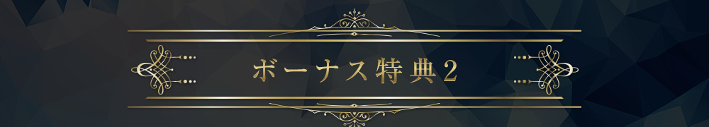 ボーナス特典2