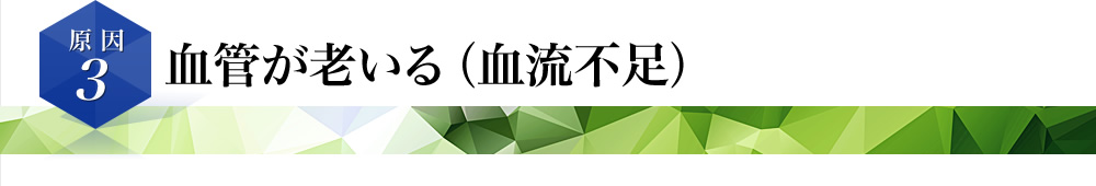 血管が老いる（血流不足）