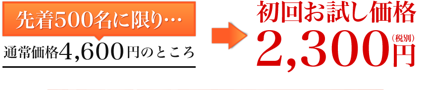 初回お試し価格2300円