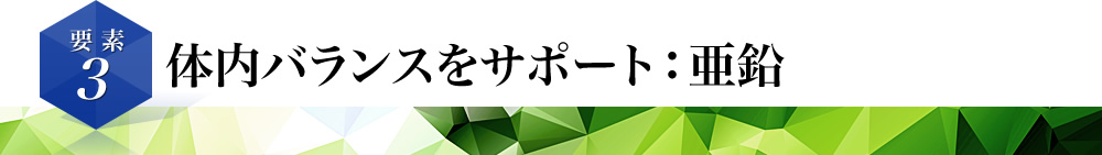 体内バランスをサポート：亜鉛
