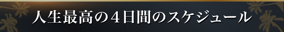 人生最高の４日間のスケジュール