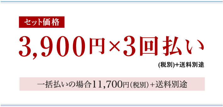 セット価格3,900円×3回払い