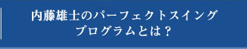 内藤雄士のパーフェクトスイングプログラムとは